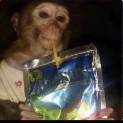 JakeToal11's profile picture. 