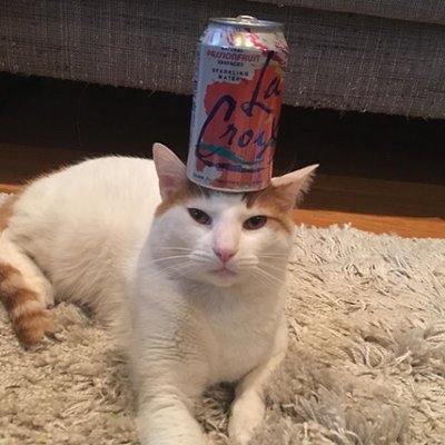 I like basketball & cats
TV Writer (Tonight Show/Late Night, I Love You America)
College Guys: https://t.co/PcAfBWXEcz
blazrdog: https://t.co/Oy8yULbnhw