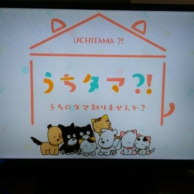 isfstVG36jvg6ue's profile picture. 白猫初心者です。
白猫のことでいろいろアップしていこうかと思います。
よければみて下さい。