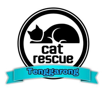 Cat Rescue Tenggarong, Kaltim ||

🚨 Rescue ||
😻 Adopt ||

yok sanak, peduli kucing karena ndik etam maha makhluk hidup didunia ni.