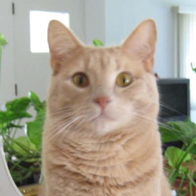 mer8300's profile picture. Curious