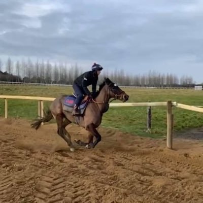 00willhughes's profile picture. 0121 forever