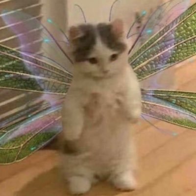im really fucking tired.