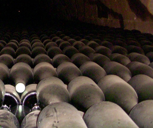 Crayeres's profile picture. Champagne makes me happy.