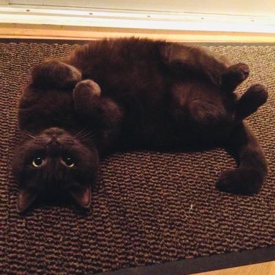 YvonneL03008252's profile picture. 