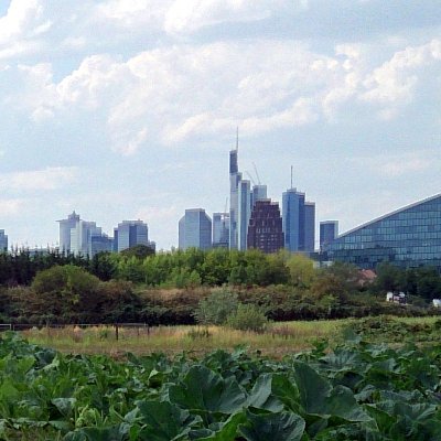 Hier zwitschern der #ErnaehrungsratF #Frankfurt Main und #BIONALES - BürgerInnen für regionale #Landwirtschaft und #Ernährung 
@ernaehrungsrat-ffm.bsky.social