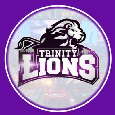 Organização de esportes eletrônicos 🇧🇷
Contato: trinitylionsoficial@gmail.com 
desde 2016 atuando no cenário competitivo
Parceria via DM
#GoTrinity #GoLions