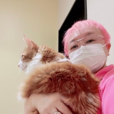 5JnZWIY88a8WjH5's profile picture. メインクーンと、 スコティッシュが家族です。 看護師　音響効果　インド限定紅茶販売　消毒指導