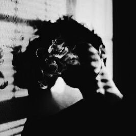 transtporter's profile picture. 