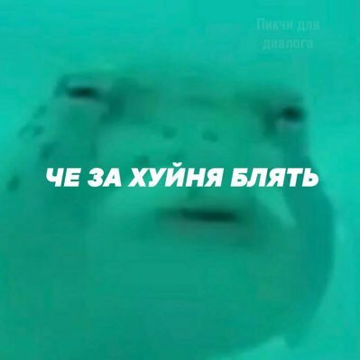 я вроде норм