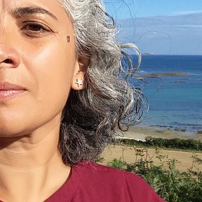 Independent researcher hailing from Reunion Island. Former SOAS Curator of Rare Books & Manuscripts and Middle East librarian. Librarian at the BPatG in Munich.