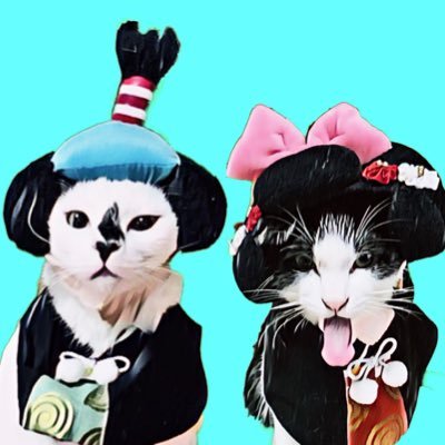 保護猫ベニとハクさんのプロフィール画像