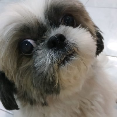 estherliaaan's profile picture. Ayub 23:10