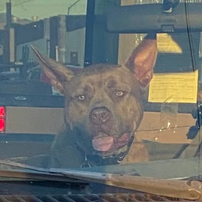 mchaidy8's profile picture. Baseball. Beer. VERY passionate about my teams.