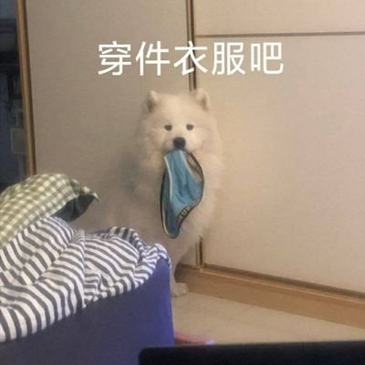 546181331z's profile picture. g