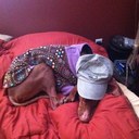 Steven Glaze - @sjglaze59 - Twitter