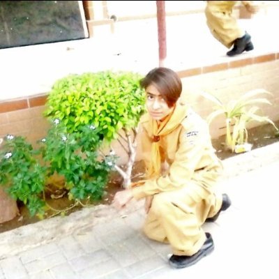 ShibeeO's profile picture. Tiktoker