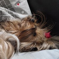 Катерина (💙,🧡) (@jr87sxiogndrqo2) 's Twitter Profile