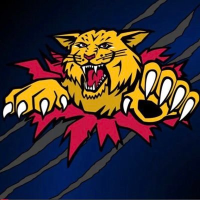 Welcome to my account, here I talk hockey especially Moncton Wildcats from the QMJHL and the Valley Wildcats From MHL