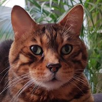 Erika (@erikastrop) 's Twitter Profile Photo