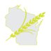 AAPI Coalition of WI (@aapicoalitionwi) Twitter profile photo AAPI Coalition of WI (@aapicoalitionwi) Twitter profile photo