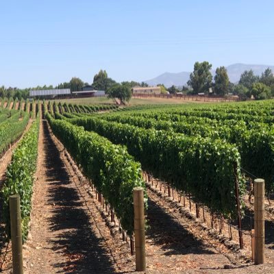 Located in the beautiful Santa Ynez Valley, Solvang Wine Tours offers affordable customized private wine tours throughout the Santa Ynez Valley.