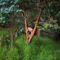 aFeinNude by aFeinberg.eth (@afeinnude) 's Twitter Profile Photo aFeinNude by aFeinberg.eth (@afeinnude) 's Twitter Profile Photo