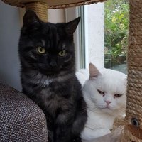 Kemal Dinç (@kdinc69) 's Twitter Profile