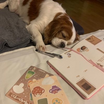 egesagin's profile picture. Account Manager at Multiplayer, currently working on Bethesda products. Opinions are my own.