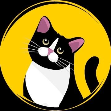 Une comportementaliste pour chat disponible pour résoudre les problèmes de comportement de votre félin (malpropreté, agressivité, griffades...). 🐱