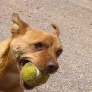 danieloliva99's profile picture. 🌊