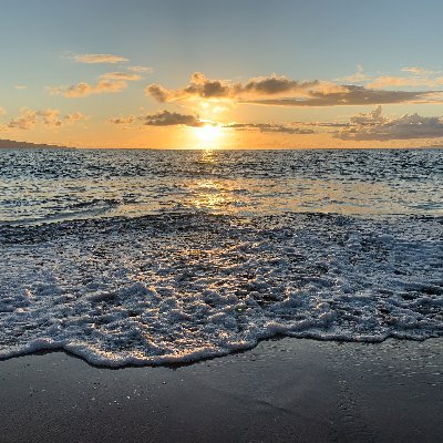 RenardeRousse's profile picture. Francophilic medieval/renaissance nerd.