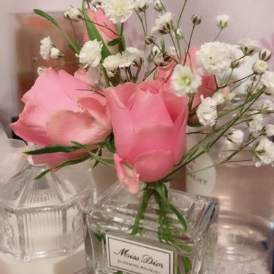 tq6Tff4kH3aIb33's profile picture. 