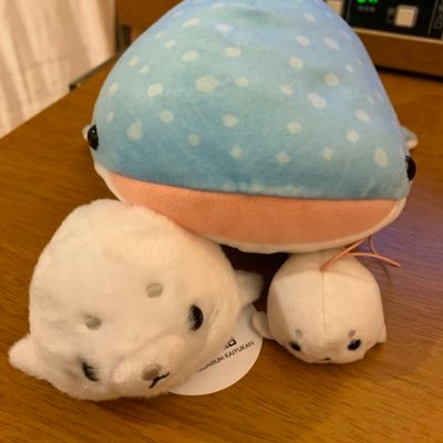 @__kanou__02