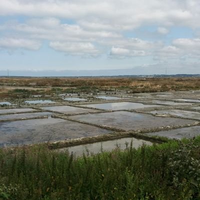 gacobat's profile picture. Я работаю в кгб
et vous?