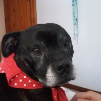 Richard Idris Jones π΄σ §σ ’σ ·σ ¬σ ³σ Ώ πΊπ¦ (@idris_richard) 's Twitter Profile Photo Richard Idris Jones π΄σ §σ ’σ ·σ ¬σ ³σ Ώ πΊπ¦ (@idris_richard) 's Twitter Profile Photo