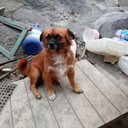 fatima cervantes - @fatimac69476486 - Twitter