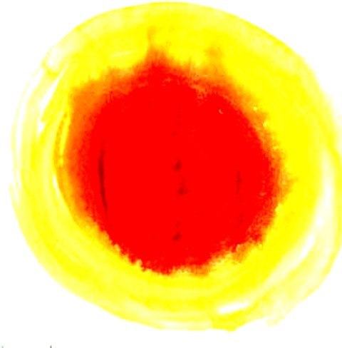 Zontrainingen's profile picture. 