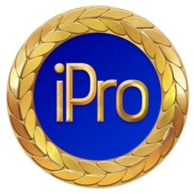 IPRO SOLUTIONS, LLC