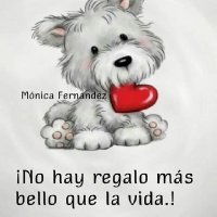 Ecuatorianisima (@silviaromo1971) 's Twitter Profile Photo Ecuatorianisima (@silviaromo1971) 's Twitter Profile Photo