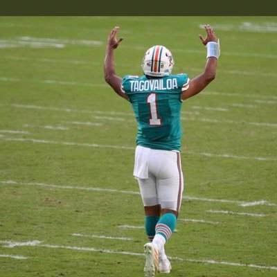 #DolphinsTwitter