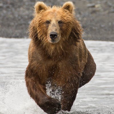 A hard working man. Libertarian. Mostly here to support a friend. Papa Bear
Let's get the job done.