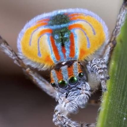 M_Lambea's profile picture. 