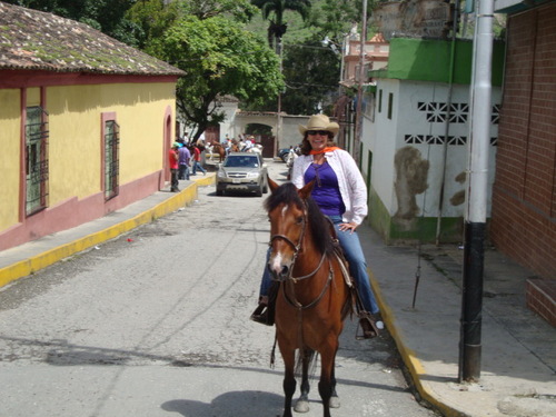 Interes los caballos!!