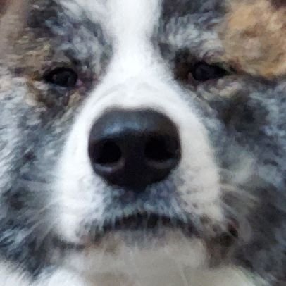 muroran_RD's profile picture. 室蘭工業大学 システム理化学科 2年
化学生物システムコース