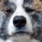 muroran_RD's profile image