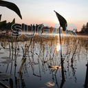 Paul Arbour - @PaulArbour - Twitter