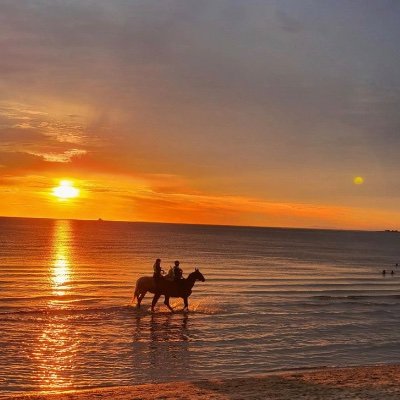 MaryStardust1's profile picture. every day is a new begining🫶