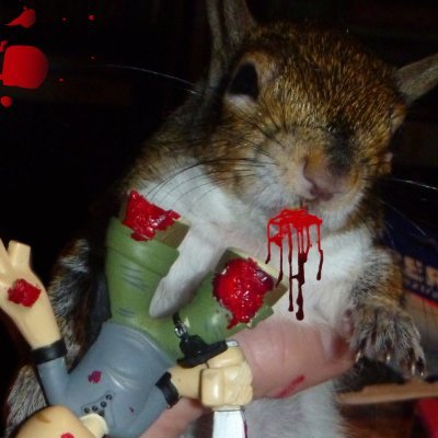 SavoirFae's profile picture. She/Her 
"No good, can't hear you"