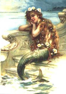 robinschmidt2's profile picture. 